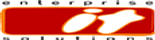 Enterprise IT Solution
